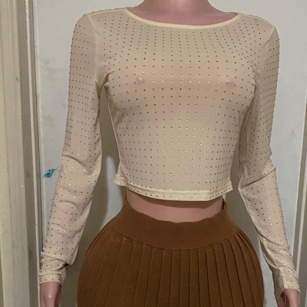 Chic Beige Sheer Crop Top